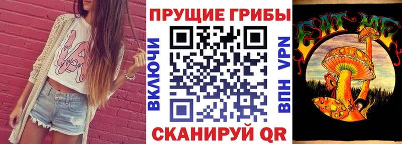 Галлюциногенные грибы Cubensis  где найти   Светлоград 